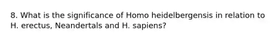 8. What is the significance of Homo heidelbergensis in relation to H. erectus, Neandertals and H. sapiens?