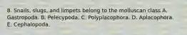 8. Snails, slugs, and limpets belong to the molluscan class A. Gastropoda. B. Pelecypoda. C. Polyplacophora. D. Aplacophora. E. Cephalopoda.