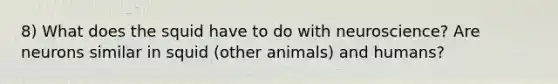 8) What does the squid have to do with neuroscience? Are neurons similar in squid (other animals) and humans?