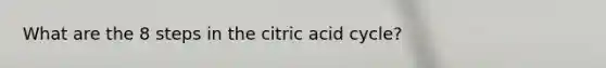 What are the 8 steps in the citric acid cycle?