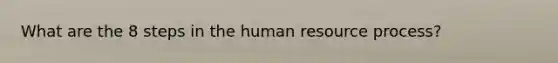 What are the 8 steps in the human resource process?