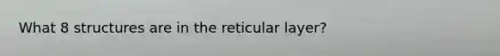 What 8 structures are in the reticular layer?