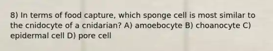 8) In terms of food capture, which sponge cell is most similar to the cnidocyte of a cnidarian? A) amoebocyte B) choanocyte C) epidermal cell D) pore cell