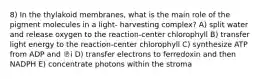 8) In the thylakoid membranes, what is the main role of the pigment molecules in a light- harvesting complex? A) split water and release oxygen to the reaction-center chlorophyll B) transfer light energy to the reaction-center chlorophyll C) synthesize ATP from ADP and ℗i D) transfer electrons to ferredoxin and then NADPH E) concentrate photons within the stroma