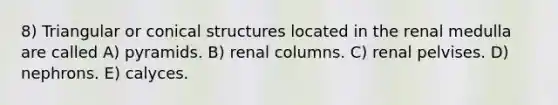 8) Triangular or conical structures located in the renal medulla are called A) pyramids. B) renal columns. C) renal pelvises. D) nephrons. E) calyces.