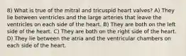 8) What is true of the mitral and tricuspid heart valves? A) They lie between ventricles and the large arteries that leave the ventricles on each side of the heart. B) They are both on the left side of the heart. C) They are both on the right side of the heart. D) They lie between the atria and the ventricular chambers on each side of the heart.