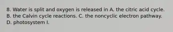 8. Water is split and oxygen is released in A. the citric acid cycle. B. the Calvin cycle reactions. C. the noncyclic electron pathway. D. photosystem I.