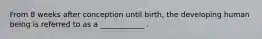 From 8 weeks after conception until birth, the developing human being is referred to as a ____________ .