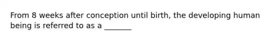 From 8 weeks after conception until birth, the developing human being is referred to as a _______