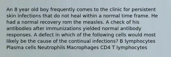 An 8 year old boy frequently comes to the clinic for persistent skin infections that do not heal within a normal time frame. He had a normal recovery rom the measles. A check of his antibodies after immunizations yielded normal antibody responses. A defect in which of the following cells would most likely be the cause of the continual infections? B lymphocytes Plasma cells Neutrophils Macrophages CD4 T lymphocytes