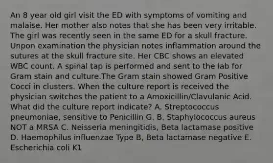 An 8 year old girl visit the ED with symptoms of vomiting and malaise. Her mother also notes that she has been very irritable. The girl was recently seen in the same ED for a skull fracture. Unpon examination the physician notes inflammation around the sutures at the skull fracture site. Her CBC shows an elevated WBC count. A spinal tap is performed and sent to the lab for Gram stain and culture.The Gram stain showed Gram Positive Cocci in clusters. When the culture report is received the physician switches the patient to a Amoxicillin/Clavulanic Acid. What did the culture report indicate? A. Streptococcus pneumoniae, sensitive to Penicillin G. B. Staphylococcus aureus NOT a MRSA C. Neisseria meningitidis, Beta lactamase positive D. Haemophilus influenzae Type B, Beta lactamase negative E. Escherichia coli K1