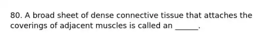 80. A broad sheet of dense connective tissue that attaches the coverings of adjacent muscles is called an ______.