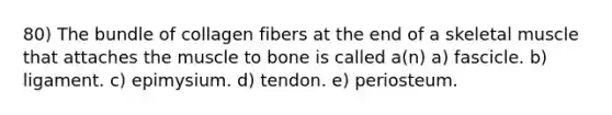 80) The bundle of collagen fibers at the end of a skeletal muscle that attaches the muscle to bone is called a(n) a) fascicle. b) ligament. c) epimysium. d) tendon. e) periosteum.