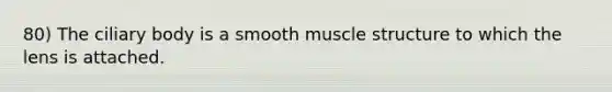 80) The ciliary body is a smooth muscle structure to which the lens is attached.