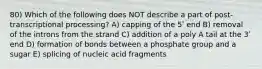 80) Which of the following does NOT describe a part of post-transcriptional processing? A) capping of the 5ʹ end B) removal of the introns from the strand C) addition of a poly A tail at the 3ʹ end D) formation of bonds between a phosphate group and a sugar E) splicing of nucleic acid fragments