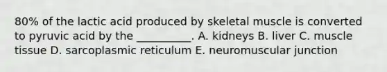 80% of the lactic acid produced by skeletal muscle is converted to pyruvic acid by the __________. A. kidneys B. liver C. muscle tissue D. sarcoplasmic reticulum E. neuromuscular junction