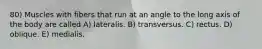 80) Muscles with fibers that run at an angle to the long axis of the body are called A) lateralis. B) transversus. C) rectus. D) oblique. E) medialis.