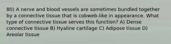 80) A nerve and blood vessels are sometimes bundled together by a connective tissue that is cobweb-like in appearance. What type of connective tissue serves this function? A) Dense connective tissue B) Hyaline cartilage C) Adipose tissue D) Areolar tissue