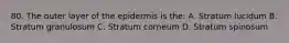 80. The outer layer of the epidermis is the: A. Stratum lucidum B. Stratum granulosum C. Stratum corneum D. Stratum spinosum