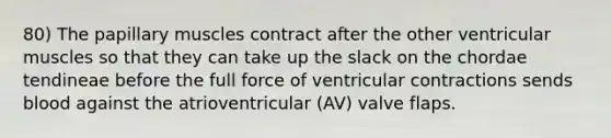 80) The papillary muscles contract after the other ventricular muscles so that they can take up the slack on the chordae tendineae before the full force of ventricular contractions sends blood against the atrioventricular (AV) valve flaps.