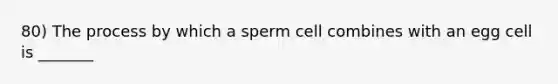 80) The process by which a sperm cell combines with an egg cell is _______