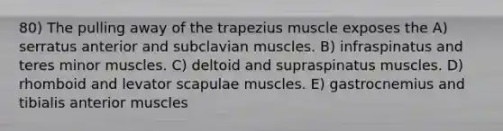 80) The pulling away of the trapezius muscle exposes the A) serratus anterior and subclavian muscles. B) infraspinatus and teres minor muscles. C) deltoid and supraspinatus muscles. D) rhomboid and levator scapulae muscles. E) gastrocnemius and tibialis anterior muscles