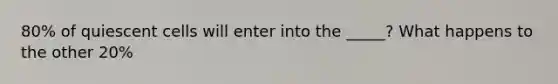 80% of quiescent cells will enter into the _____? What happens to the other 20%