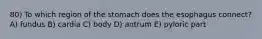 80) To which region of the stomach does the esophagus connect? A) fundus B) cardia C) body D) antrum E) pyloric part