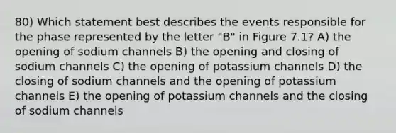 80) Which statement best describes the events responsible for the phase represented by the letter "B" in Figure 7.1? A) the opening of sodium channels B) the opening and closing of sodium channels C) the opening of potassium channels D) the closing of sodium channels and the opening of potassium channels E) the opening of potassium channels and the closing of sodium channels