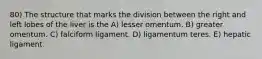 80) The structure that marks the division between the right and left lobes of the liver is the A) lesser omentum. B) greater omentum. C) falciform ligament. D) ligamentum teres. E) hepatic ligament.