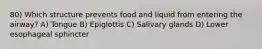 80) Which structure prevents food and liquid from entering the airway? A) Tongue B) Epiglottis C) Salivary glands D) Lower esophageal sphincter