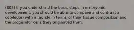 (808) If you understand the basic steps in embryonic development, you should be able to compare and contrast a cotyledon with a radicle in terms of their tissue composition and the progenitor cells they originated from.