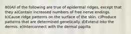 80)All of the following are true of epidermal ridges, except that they a)Contain increased numbers of free nerve endings. b)Cause ridge patterns on the surface of the skin. c)Produce patterns that are determined genetically. d)Extend into the dermis. e)Interconnect with the dermal papilla