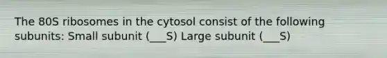 The 80S ribosomes in the cytosol consist of the following subunits: Small subunit (___S) Large subunit (___S)