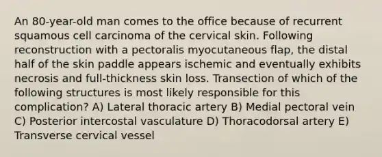 An 80-year-old man comes to the office because of recurrent squamous cell carcinoma of the cervical skin. Following reconstruction with a pectoralis myocutaneous flap, the distal half of the skin paddle appears ischemic and eventually exhibits necrosis and full-thickness skin loss. Transection of which of the following structures is most likely responsible for this complication? A) Lateral thoracic artery B) Medial pectoral vein C) Posterior intercostal vasculature D) Thoracodorsal artery E) Transverse cervical vessel