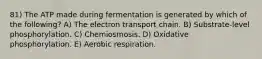 81) The ATP made during fermentation is generated by which of the following? A) The electron transport chain. B) Substrate-level phosphorylation. C) Chemiosmosis. D) Oxidative phosphorylation. E) Aerobic respiration.