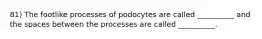 81) The footlike processes of podocytes are called __________ and the spaces between the processes are called __________.