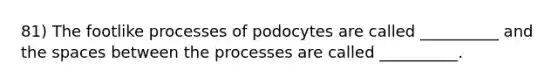 81) The footlike processes of podocytes are called __________ and the spaces between the processes are called __________.