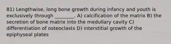 81) Lengthwise, long bone growth during infancy and youth is exclusively through ________. A) calcification of the matrix B) the secretion of bone matrix into the medullary cavity C) differentiation of osteoclasts D) interstitial growth of the epiphyseal plates