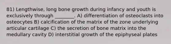 81) Lengthwise, long bone growth during infancy and youth is exclusively through ________. A) differentiation of osteoclasts into osteocytes B) calcification of the matrix of the zone underlying articular cartilage C) the secretion of bone matrix into the medullary cavity D) interstitial growth of the epiphyseal plates