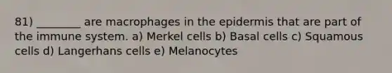 81) ________ are macrophages in <a href='https://www.questionai.com/knowledge/kBFgQMpq6s-the-epidermis' class='anchor-knowledge'>the epidermis</a> that are part of the immune system. a) Merkel cells b) Basal cells c) Squamous cells d) Langerhans cells e) Melanocytes