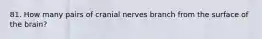 81. How many pairs of cranial nerves branch from the surface of the brain?