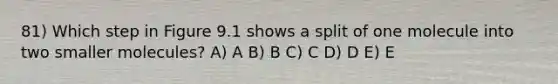 81) Which step in Figure 9.1 shows a split of one molecule into two smaller molecules? A) A B) B C) C D) D E) E