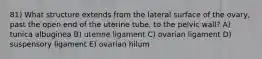 81) What structure extends from the lateral surface of the ovary, past the open end of the uterine tube, to the pelvic wall? A) tunica albuginea B) uterine ligament C) ovarian ligament D) suspensory ligament E) ovarian hilum