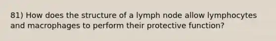 81) How does the structure of a lymph node allow lymphocytes and macrophages to perform their protective function?