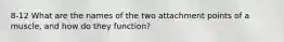 8-12 What are the names of the two attachment points of a muscle, and how do they function?