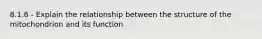 8.1.6 - Explain the relationship between the structure of the mitochondrion and its function