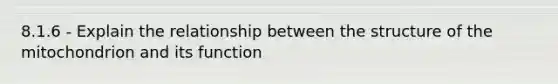 8.1.6 - Explain the relationship between the structure of the mitochondrion and its function