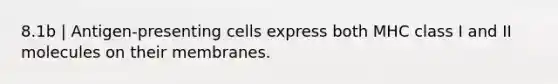 8.1b | Antigen-presenting cells express both MHC class I and II molecules on their membranes.