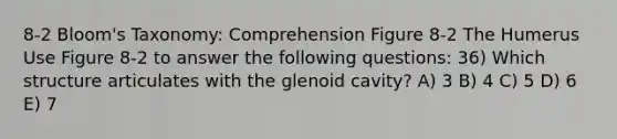 8-2 Bloom's Taxonomy: Comprehension Figure 8-2 The Humerus Use Figure 8-2 to answer the following questions: 36) Which structure articulates with the glenoid cavity? A) 3 B) 4 C) 5 D) 6 E) 7